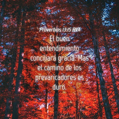 Picture 04 - Proverbios 13:15 RVA - El buen entendimiento conciliará gracia: Mas el - Bible Verse Picture