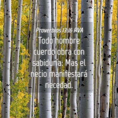 Picture 04 - Proverbios 13:16 RVA - Todo hombre cuerdo obra con sabiduría: Mas el - Bible Verse Picture