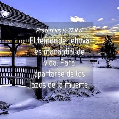 Picture 04 - Proverbios 14:27 RVA - El temor de Jehová es manantial de vida, Para - Bible Verse Picture