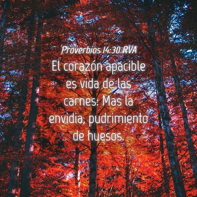 Picture 04 - Proverbios 14:30 RVA - El corazón apacible es vida de las carnes: Mas - Bible Verse Picture