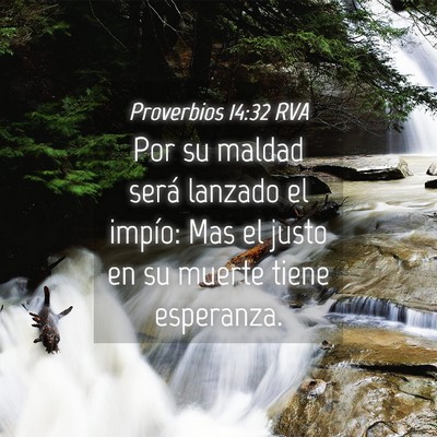 Picture 04 - Proverbios 14:32 RVA - Por su maldad será lanzado el impío: Mas el - Bible Verse Picture