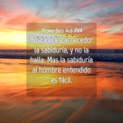 Picture 04 - Proverbios 14:6 RVA - Busca el escarnecedor la sabiduría, y no la - Bible Verse Picture
