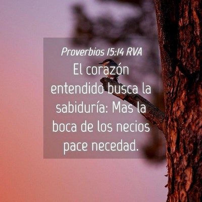 Picture 04 - Proverbios 15:14 RVA - El corazón entendido busca la sabiduría: Mas la - Bible Verse Picture
