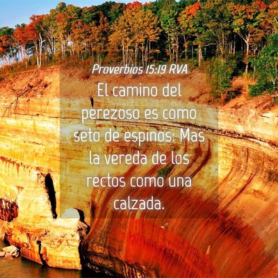 Picture 04 - Proverbios 15:19 RVA - El camino del perezoso es como seto de espinos: - Bible Verse Picture