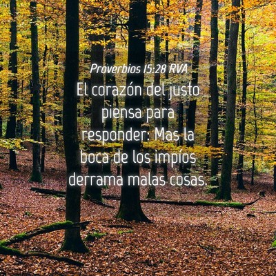 Picture 04 - Proverbios 15:28 RVA - El corazón del justo piensa para responder: Mas - Bible Verse Picture