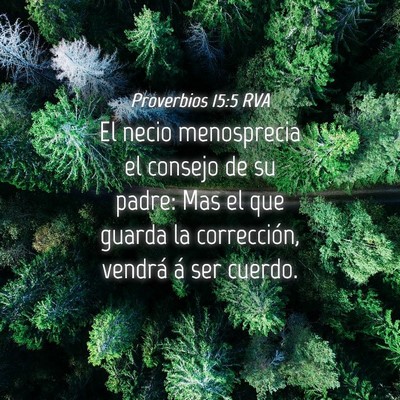 Picture 04 - Proverbios 15:5 RVA - El necio menosprecia el consejo de su padre: Mas - Bible Verse Picture