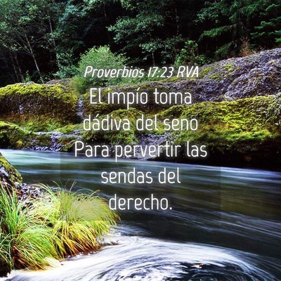 Picture 04 - Proverbios 17:23 RVA - El impío toma dádiva del seno Para pervertir - Bible Verse Picture