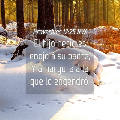 Picture 04 - Proverbios 17:25 RVA - El hijo necio es enojo á su padre, Y amargura á - Bible Verse Picture