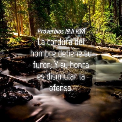Picture 04 - Proverbios 19:11 RVA - La cordura del hombre detiene su furor; Y su - Bible Verse Picture