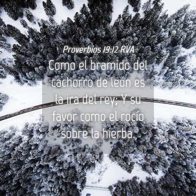 Picture 04 - Proverbios 19:12 RVA - Como el bramido del cachorro de león es la ira - Bible Verse Picture