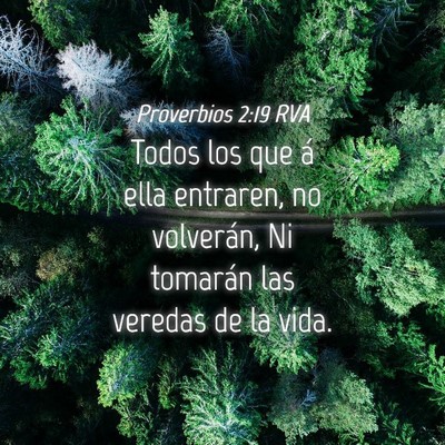 Picture 04 - Proverbios 2:19 RVA - Todos los que á ella entraren, no volverán, Ni - Bible Verse Picture