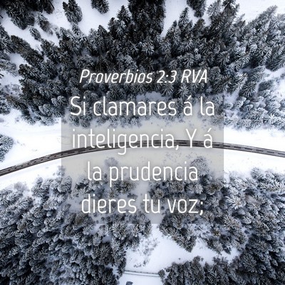 Picture 04 - Proverbios 2:3 RVA - Si clamares á la inteligencia, Y á la prudencia - Bible Verse Picture