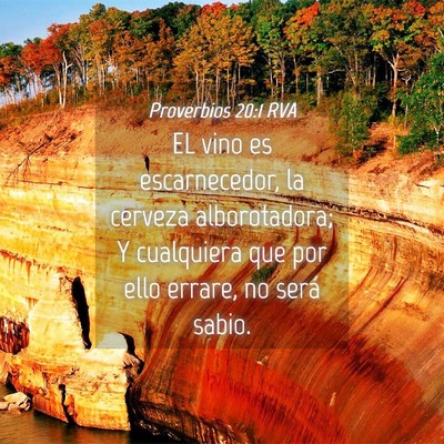 Picture 04 - Proverbios 20:1 RVA - EL vino es escarnecedor, la cerveza alborotadora; - Bible Verse Picture