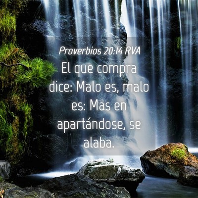 Picture 04 - Proverbios 20:14 RVA - El que compra dice: Malo es, malo es: Mas en - Bible Verse Picture