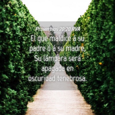 Picture 04 - Proverbios 20:20 RVA - El que maldice á su padre ó á su madre, Su - Bible Verse Picture