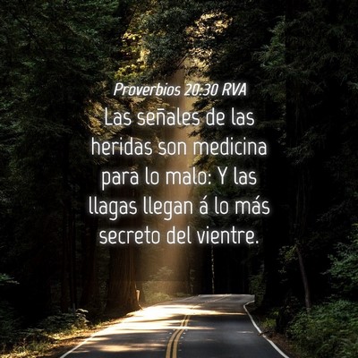 Picture 04 - Proverbios 20:30 RVA - Las señales de las heridas son medicina para lo - Bible Verse Picture