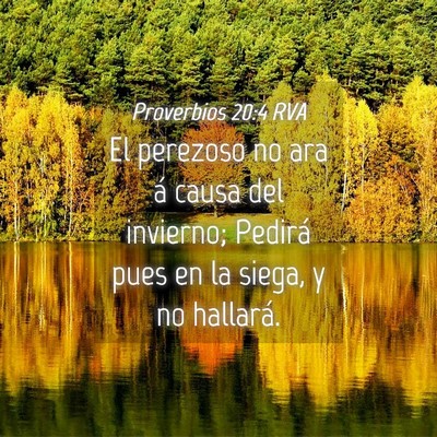 Picture 04 - Proverbios 20:4 RVA - El perezoso no ara á causa del invierno; Pedirá - Bible Verse Picture