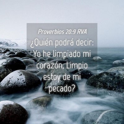 Picture 04 - Proverbios 20:9 RVA - ¿Quién podrá decir: Yo he limpiado mi - Bible Verse Picture