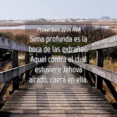 Picture 04 - Proverbios 22:14 RVA - Sima profunda es la boca de las extrañas: Aquel - Bible Verse Picture