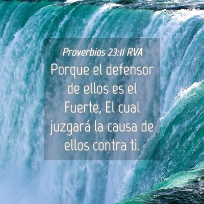Picture 04 - Proverbios 23:11 RVA - Porque el defensor de ellos es el Fuerte, El cual - Bible Verse Picture