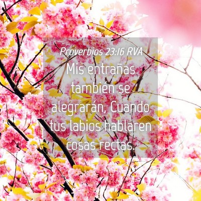 Picture 04 - Proverbios 23:16 RVA - Mis entrañas también se alegrarán, Cuando tus - Bible Verse Picture