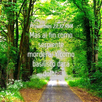 Picture 04 - Proverbios 23:32 RVA - Mas al fin como serpiente morderá, Y como - Bible Verse Picture