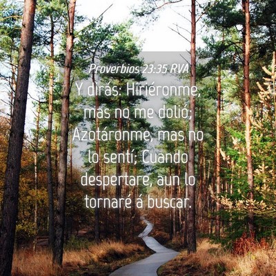 Picture 04 - Proverbios 23:35 RVA - Y dirás: Hiriéronme, mas no me dolió; - Bible Verse Picture