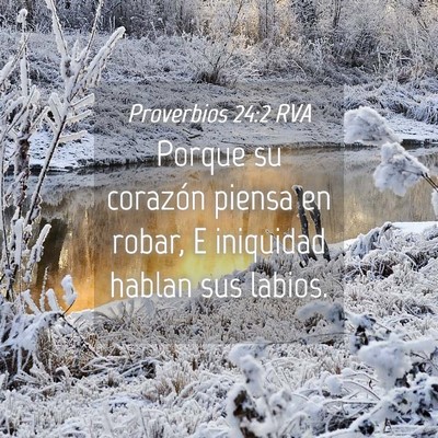 Picture 04 - Proverbios 24:2 RVA - Porque su corazón piensa en robar, E iniquidad - Bible Verse Picture