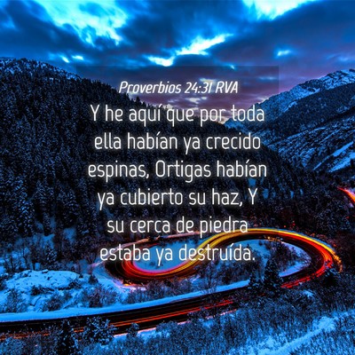 Picture 04 - Proverbios 24:31 RVA - Y he aquí que por toda ella habían ya crecido - Bible Verse Picture