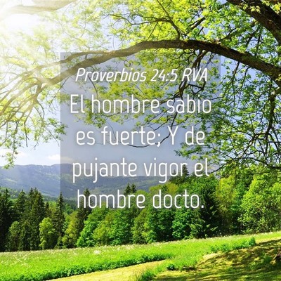 Picture 04 - Proverbios 24:5 RVA - El hombre sabio es fuerte; Y de pujante vigor el - Bible Verse Picture