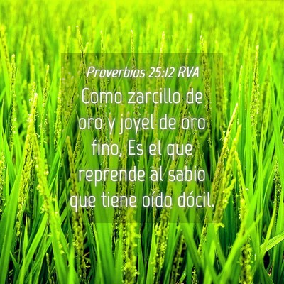 Picture 04 - Proverbios 25:12 RVA - Como zarcillo de oro y joyel de oro fino, Es el - Bible Verse Picture