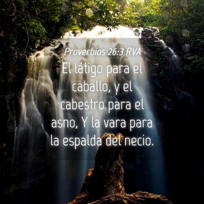 Picture 04 - Proverbios 26:3 RVA - El látigo para el caballo, y el cabestro para el - Bible Verse Picture
