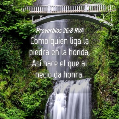 Picture 04 - Proverbios 26:8 RVA - Como quien liga la piedra en la honda, Así hace - Bible Verse Picture