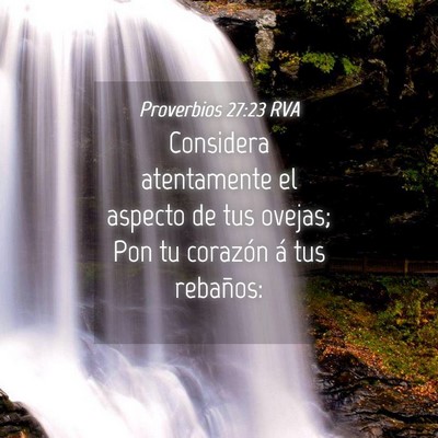 Picture 04 - Proverbios 27:23 RVA - Considera atentamente el aspecto de tus ovejas; - Bible Verse Picture