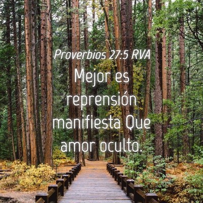 Picture 04 - Proverbios 27:5 RVA - Mejor es reprensión manifiesta Que amor - Bible Verse Picture