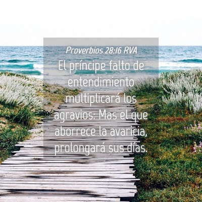 Picture 04 - Proverbios 28:16 RVA - El príncipe falto de entendimiento multiplicará - Bible Verse Picture