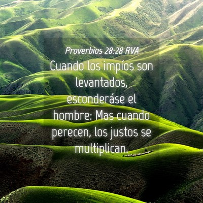 Picture 04 - Proverbios 28:28 RVA - Cuando los impíos son levantados, esconderáse - Bible Verse Picture
