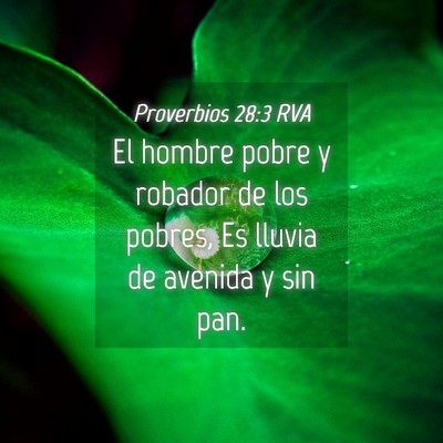 Picture 04 - Proverbios 28:3 RVA - El hombre pobre y robador de los pobres, Es - Bible Verse Picture