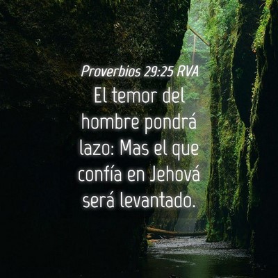 Picture 04 - Proverbios 29:25 RVA - El temor del hombre pondrá lazo: Mas el que - Bible Verse Picture