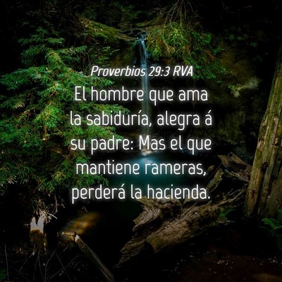 Picture 04 - Proverbios 29:3 RVA - El hombre que ama la sabiduría, alegra á su - Bible Verse Picture