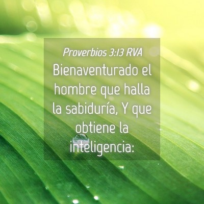 Picture 04 - Proverbios 3:13 RVA - Bienaventurado el hombre que halla la sabiduría, - Bible Verse Picture