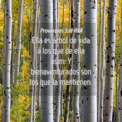 Picture 04 - Proverbios 3:18 RVA - Ella es árbol de vida á los que de ella asen: Y - Bible Verse Picture