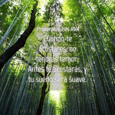 Picture 04 - Proverbios 3:24 RVA - Cuando te acostares, no tendrás temor; Antes te - Bible Verse Picture