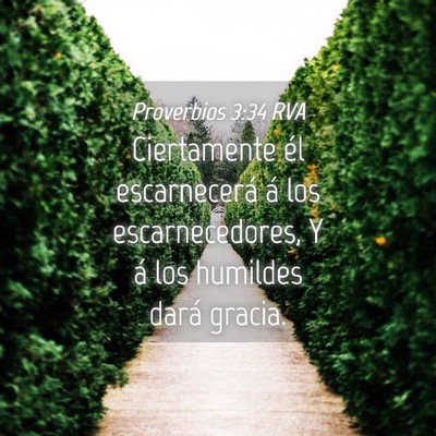Picture 04 - Proverbios 3:34 RVA - Ciertamente él escarnecerá á los - Bible Verse Picture