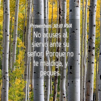Picture 04 - Proverbios 30:10 RVA - No acuses al siervo ante su señor, Porque no te - Bible Verse Picture
