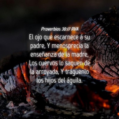 Picture 04 - Proverbios 30:17 RVA - El ojo que escarnece á su padre, Y menosprecia - Bible Verse Picture