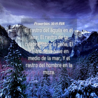 Picture 04 - Proverbios 30:19 RVA - El rastro del águila en el aire; El rastro de la - Bible Verse Picture
