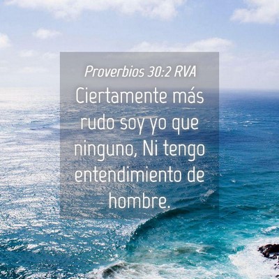 Picture 04 - Proverbios 30:2 RVA - Ciertamente más rudo soy yo que ninguno, Ni - Bible Verse Picture
