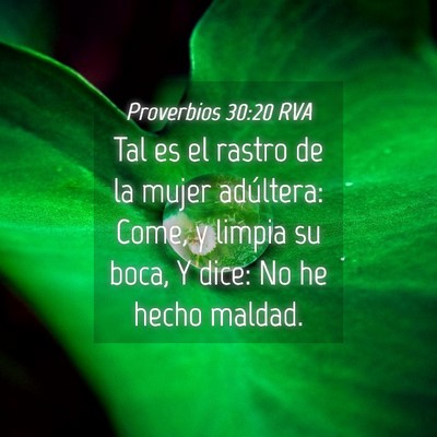 Picture 04 - Proverbios 30:20 RVA - Tal es el rastro de la mujer adúltera: Come, y - Bible Verse Picture
