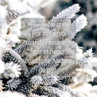 Picture 04 - Proverbios 30:22 RVA - Por el siervo cuando reinare; Y por el necio - Bible Verse Picture